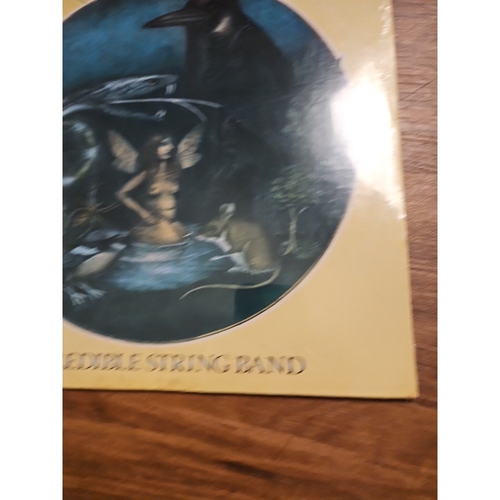 Incredible String Band-Hard Rope & Silken Twine Warner US MS 2198 Sealed NOS - Picture 2 of 7